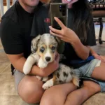 AJ Flores and wife with puppy