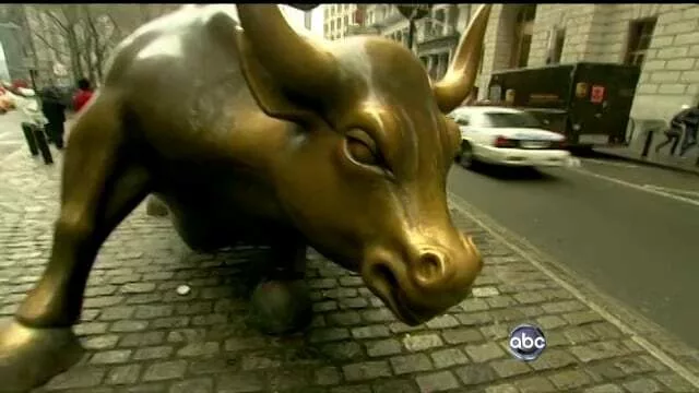 bull market bull