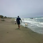 Ulysses Godoy walking his yellow Labrador on the beach