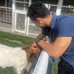 David Murillo petting a goat at a petting zoo